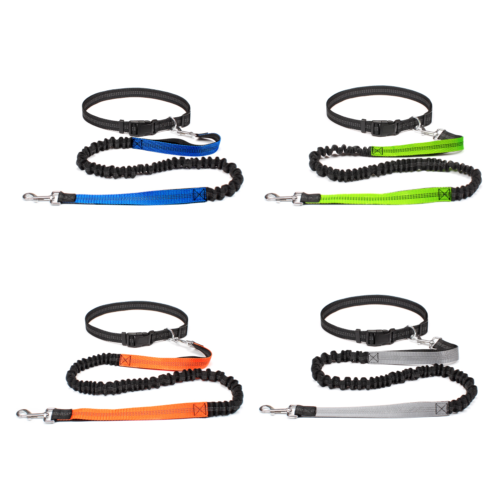Hand Free Dog Leash for Pet Wa - Running Jogging Gear ulasan dan harga