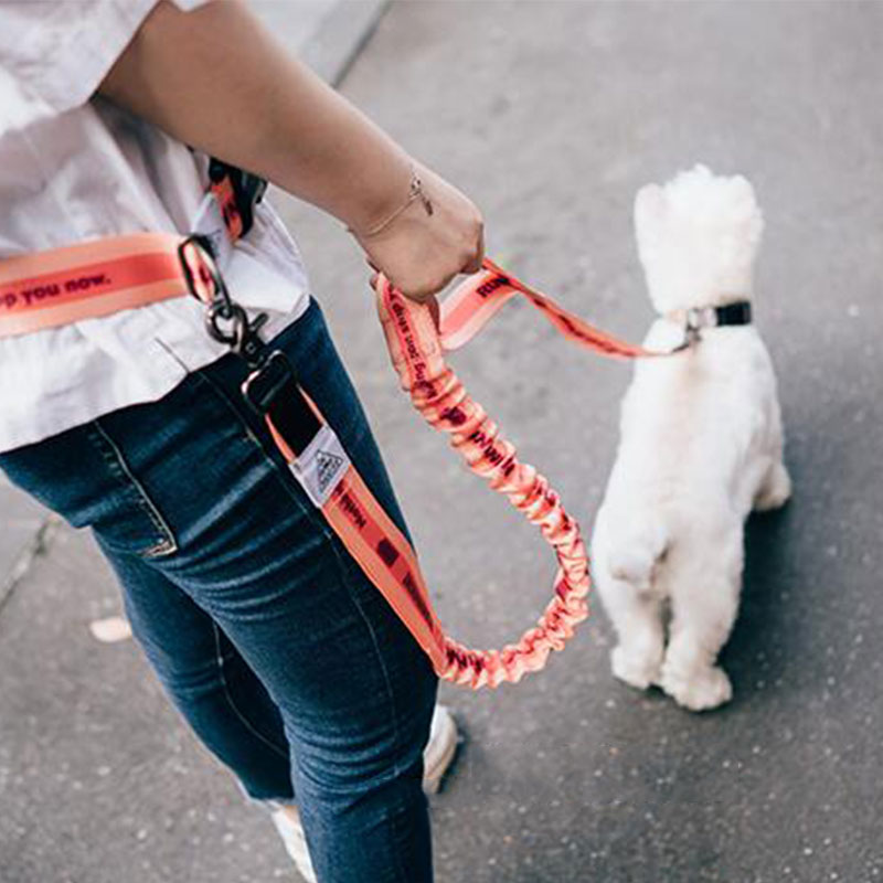 Adjustable Hand Free Dog Leash - Running Jogging Gear ulasan dan harga