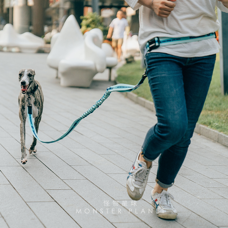 Adjustable Hand Free Dog Leash - Running Jogging Gear ulasan dan harga