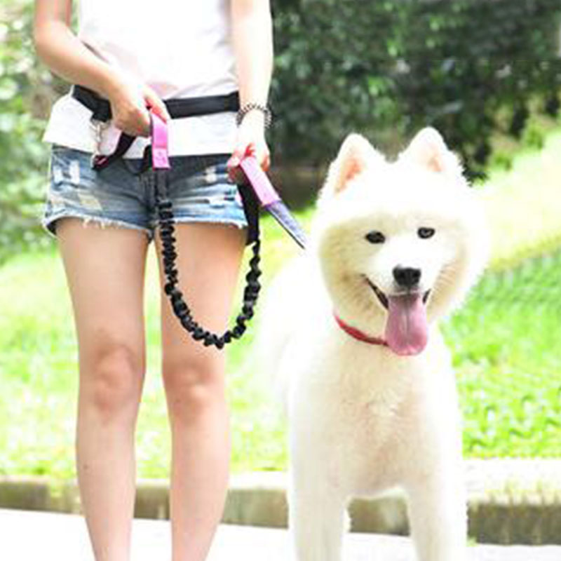 Adjustable Hand Free Dog Leash - Running Jogging Gear ulasan dan harga