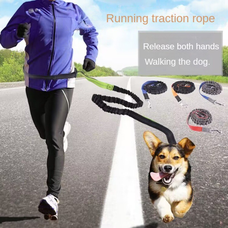 Hand Free Dog Leash for Pet Wa - Running Jogging Gear ulasan dan harga
